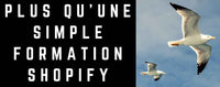 Formation création boutique Shopify ∣ SEO5EUROS.FR